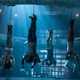 Image for article titled The A.V. Club’s risk-assessment guide to the 2015 fall movie season, part 1